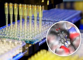 Pipettier-Automaten und Computer-Simulation (kleines Bild) unterstützen die Charakterisierung von Wirkstoffen.