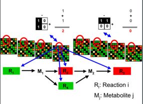 Die Grafik veranschaulicht die Methode von PathWave - ein Auswertungssystem, welches den Stoffwechsel der Nervenzellen abbildet.