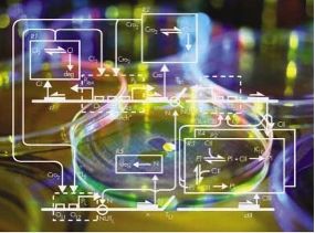 Die Systembiologie ist ein interdisziplinärer Forschungszweig, bei dem Mathematiker und Informatiker gemeinsam mit Biologen virtuelle Modelle komplexer biologischer Prozesse am Computer simulieren.