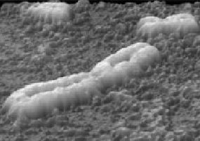 Dreidimensionales Bild von menschlichen Chromosomen.