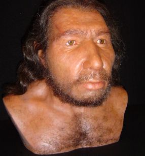 Vor genau 150 Jahren wurden zum ersten Mal Neandertaler-Überreste gefunden. Das Bild zeigt eine Rekonstruktion eines Neandertalers. 