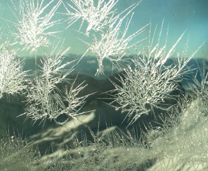 Vereiste Oberflächen sind in der Industrie oft ein Problem. In der Natur existieren Eiweiße, die als natürlicher Frostschutz dienen können.