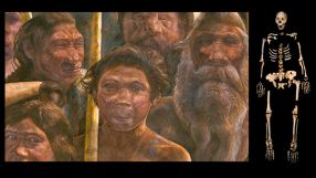 Die Homininen aus Sima de los Huesos lebten vor ungefähr 400.000 Jahren während des Mittleren Pleistozäns. Rechts: Homo heidelbergensis