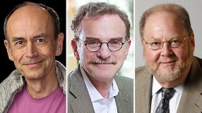 Drei Zellbiologen haben zentrale Transportprozesse in Zellen aufgeklärt: Thomas Südhof, Randy Schekman und James Rothman sind die Nobelpreisträger in Medizin 2013.