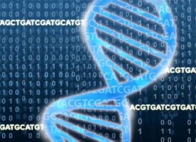 Wissenschaftler des Berliner Max-Planck-Instituts für molekulare Genetik haben eine Gendatenbank der Parkinson-Krankheit erstellt. Die Sammlung soll künftig die Forschung erleichtern.