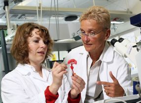 Die diesjährigen Preisträgerinnen Johanna Elisabeth Schanz (links) und Prof. Heike Mertsching im Labor.