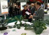 Reichlich Kohl: Am BMBF-Stand auf der Grünen Woche kann man erleben, wie vielgestaltig die Welt der Kohlgewächse ist. Ob Rosenkohl (Mitte) oder Kohlrabi, alle diese Sorten gehören zu einer Art.