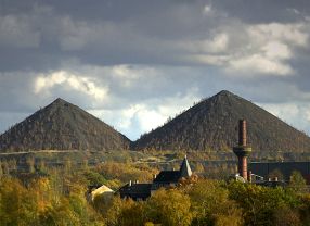 Für kontaminierte Bergbauregionen, wie diese Halden des einstigen Wismut-Uranbergbaus in Ostthüringen, entwickelten die Jenaer Forscher Sanierungsstrategien.