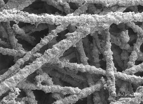 Eine Struktur wie eine Dauerwelle: Die Elektrode aus Carbonfaser nimmt Elektronen von Bakterien auf - es fließt Strom.