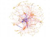 Die Systembiologie untersucht das komplexe Zusammenspiel von Genen, Eiwießen und anderen Molekülen in der Zelle. Hier eine Karte der Eiweißinteraktionen beim Tuberkulose-Bakterium.