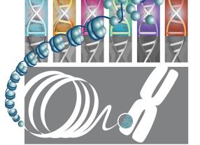 Die Kooperationspartner des weltweiten Epigenom-Projekts haben die chemischen Markierungen auf DNA und den sie umgebenden Proteinen ins Visier genommen. Nun ist das 30 Millionen-Euro-schwere Blueprint-Konsortium gestartet.