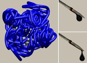 Ummantelt man das Protein Myoglobin mit einem Tensid (links), so wird es flüssig-ohne das Wasser hierzu nötig ist. So fließt das Eiweiß bei Raumtemperatur (rechts).