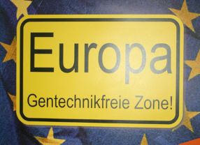 Noch ist nicht ganz Europa eine gentechnikfreie Zone, wie hier auf einem Wahlplakat der ödp gefordert. Für Österreich und Ungarn wurden die nationalen Anbauverbote für MON810-Mais jedoch bestätigt.