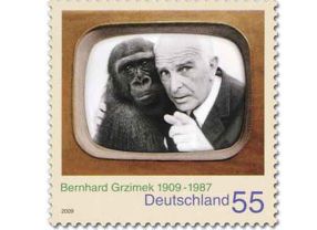 Mensch und Affe sind sich so ähnlich, dass Viren von einem auf den anderen Wirt überspringen können: Sonderbriefmarke der Deutschen Post zum 100. Geburtstag des Tierforschers Bernhard Grzimek im April 2009.