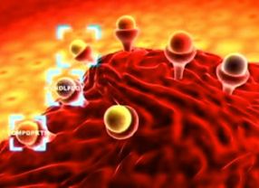 Krebszellen tragen auf ihrer Oberfläche ganz bestimmte Strukturen. Immatics will mit theraputischen Impfstoffen dem Immunsystem beibringen, diese zu erkennen. 