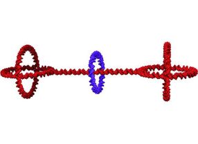 Ein Rotaxan: Das erste DNA-Nano-Bauteil mit einem frei beweglichen Ring.