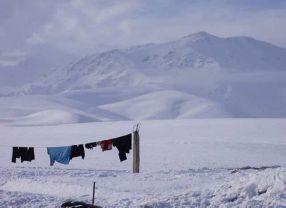 Wäsche wird bei immer kühleren Temperaturen gewaschen.  War 1972 noch fast jede zweite Maschinenladung Kochwäsche, ist es heutzutage nur noch jede zwölfte. Die neuesten Enzyme wirken schon bei 20 Grad. 