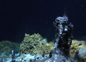 Aus den Schloten der Schwarzen Raucher in der Tiefsee strömt unter anderem Wasserstoff, den Mikroben als Nahrungs- und Energiequelle verwerten.