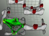 Die Aufnahme der Zelle im Zweikomponenten-Polymergerüst entstand mithilfe eines Laser-Scanning-Mikroskops (LSM). Grün gefärbt ist das Zytoskelett der Zelle, weiß wiedergegeben werden Teile des Zweikomponenten-Polymergerüstes, die "Zellgriffe" sind rot koloriert.