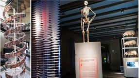 Die Doppelhelix aus Stahl und Klonschaf Dolly sind nur zwei der Ausstellungsstücke bei „Entwicklungen – 60 Jahre Entdeckung der DNA-Struktur“.