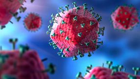 Um Immunzellen zu infizieren, dockt das HI-Virus mit Hilfe bestimmter Peptide an den Zelloberflächen an. Diese Moleküle liegen im Fokus der Ulmer Peptidforscher.