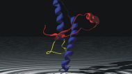 Schematische 3D-Darstellung einer Subdomäne des Prion-Proteins.