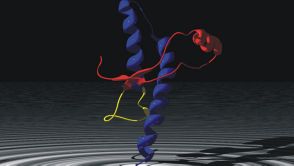 Schematische 3D-Darstellung einer Subdomäne des Prion-Proteins.