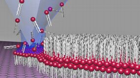 Beim neuen Verfahren der Karlsruher Forscher bringt eine Nanospizte einzelne Phospholipid-Membranstücke auf eine Graphen-Oberfläche auf.