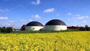 Forscher empfehlen eine gleichrangige Verwertung von stofflicher und energetischer Biomasse.