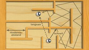 Ein Protein tastet sich im Stop-and-go-Modus durch das innere Labyrinth der Zelle, so haben es die Heidelberger Bioinformatiker modelliert.