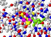 Das IspH-Protein von Bakterien verfügt über einen ungewöhnlichen Eisen-Schwefel-Cluster (lila/gelb), der die Bildung lebenswichtiger Bausteine katalysiert. Dieses Zentrum könnte der ideale Angriffspunkt für neue Antibiotika werden.