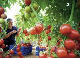 Bayer will das Obst- und Gemüsegeschäft stärken und übernimmt den Pflanzenschutzspezialist AgraQuest.