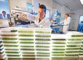 Bayer Crop Science will das Geschäft in der Pflanzenbiotechnologie ausbauen.