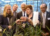 Im Biotech-Park Gatersleben eröffnet die Bayer-Sparte Cropscience ein neues Weizenzucht-Zentrum.