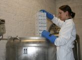 In der Biobank in Freiburg werden Moosmutanten aus aller Welt in den Kälteschlaf befördert.