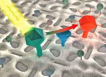 The basic principle of the sensor is energy transfer between fluorescent dyes: If a specific substance blocks this transfer by binding to an aptamer, the sensor turns green instead of red.