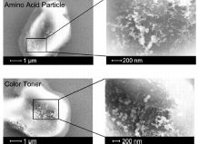 Biochips from the laser printer. Instead of colour pigments, printed here are protein building block peptides - to customer specification.