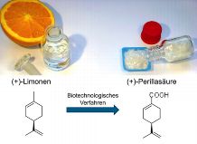 In a natural bioprocess, bacteria can convert limonene into perillic acid.