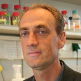 Jens Brüning is a geneticist at the University of Cologne.