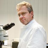 At the Hannover Medical School, Reinhold Förster is studying how immune cells migrate to the lymph nodes.