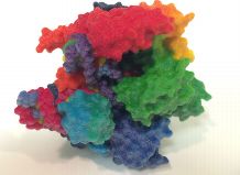 Das Enzym Cas9 im 3D-Modell: das Protein ist das molekulare Skalpell der programmierbaren Genschere CRISPR-Cas9.