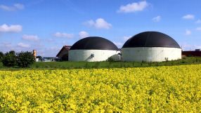 Eine wichtige Bioenergiequelle: Biogas, das in entsprechenden landwirtschaftlichen Anlagen gewonnen wird.