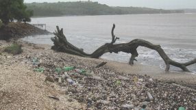 Die Verschmutzung der Meere durch Plastikteilchen ist ein globales Problem.