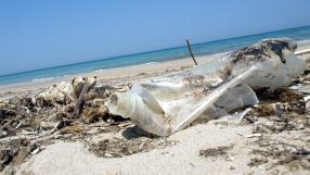 Die Umwelt wird durch Plastikmüll zunehmenbd belastet. 