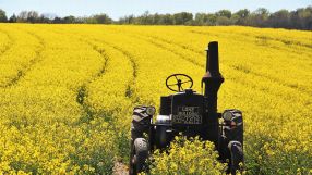 Technologien der künstlichen Intelligenz können die teils mühsame Feldarbeit der Landwirte erleichtern.