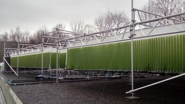 The project partners have installed aluminium poles from which bags of microalgae hang at the treatment plant in Rotenburg.